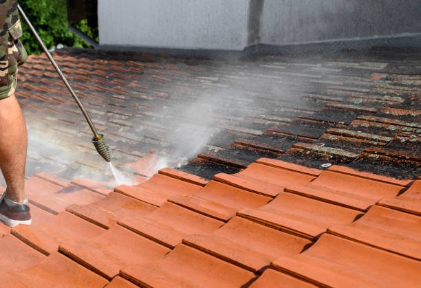 Roof Power Washing Services in Pocono Ranch Lands, PA